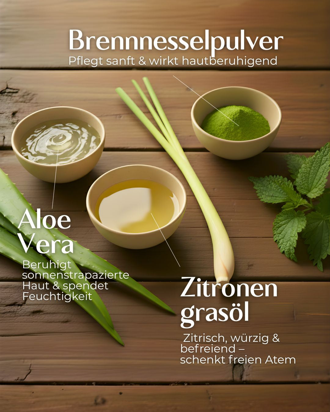 Aloe Vera mit Zitronengras und Pfefferminze - Detailansicht