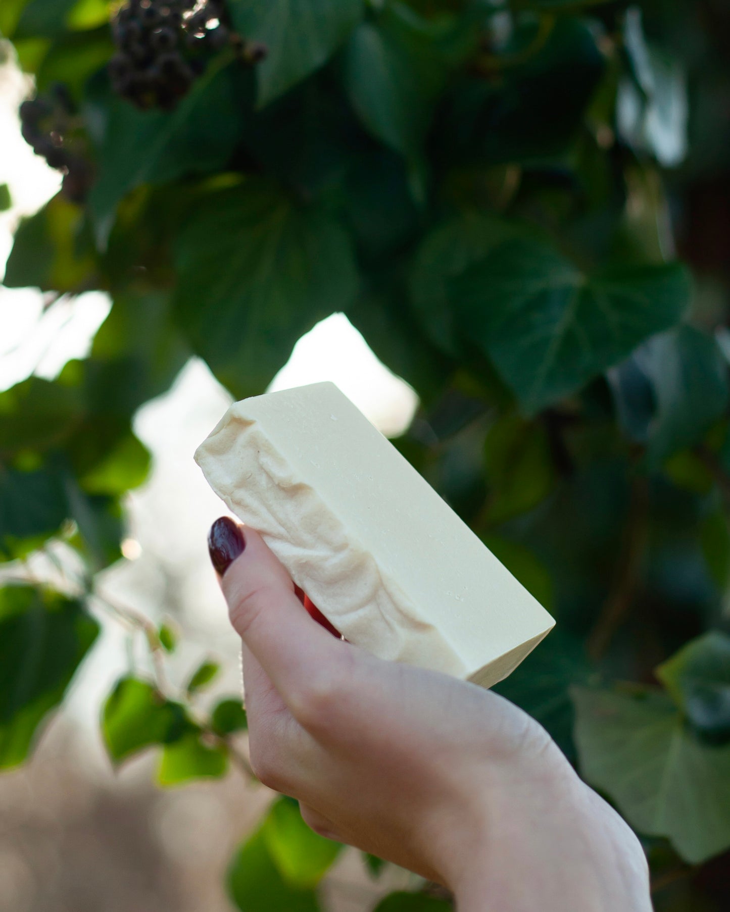 6% Lavendel & Kamille Haarseife (Milde Reinigung & Tiefenpflege)