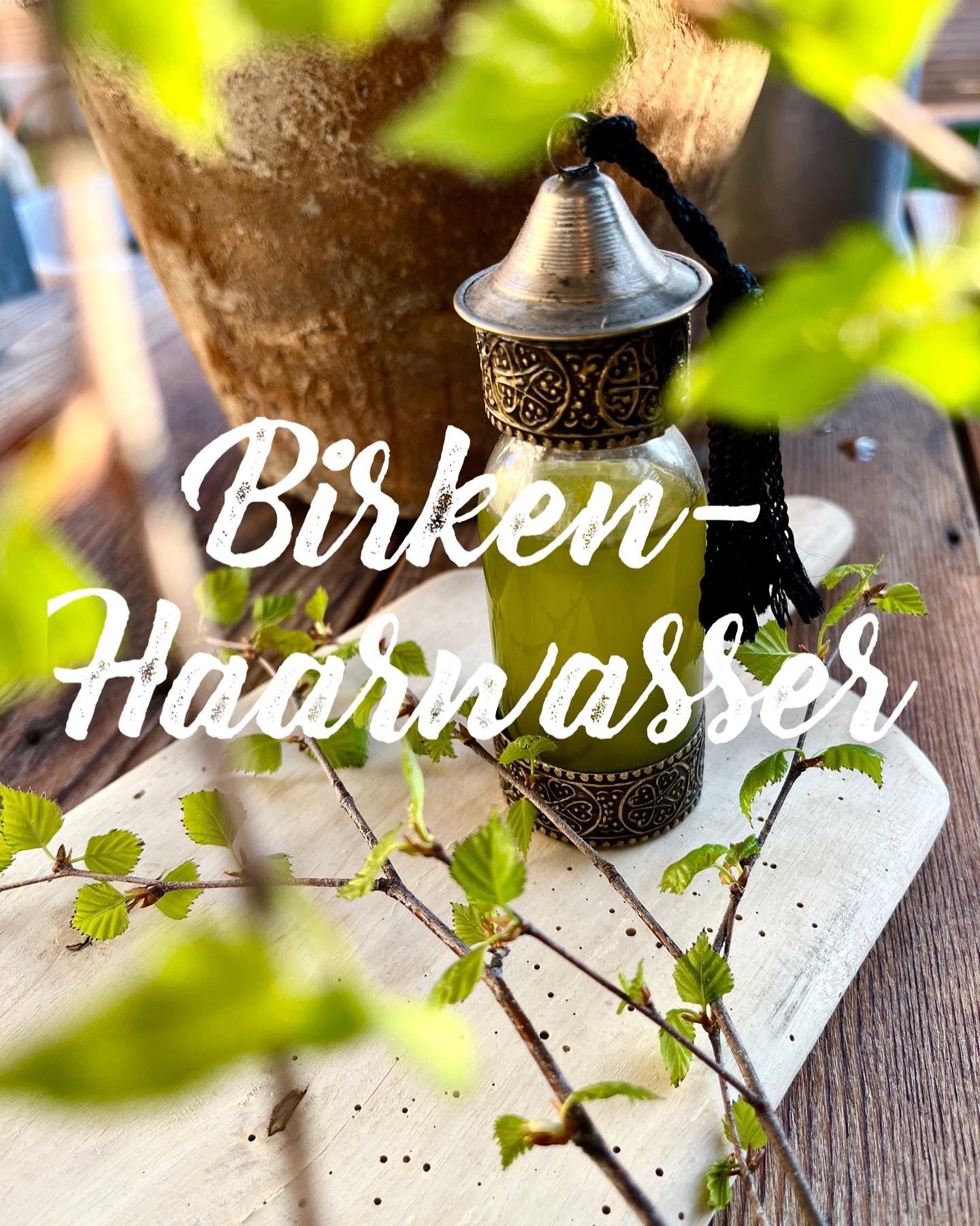 Ein Baum der Haarwachstum stimuliert? 🌲😮