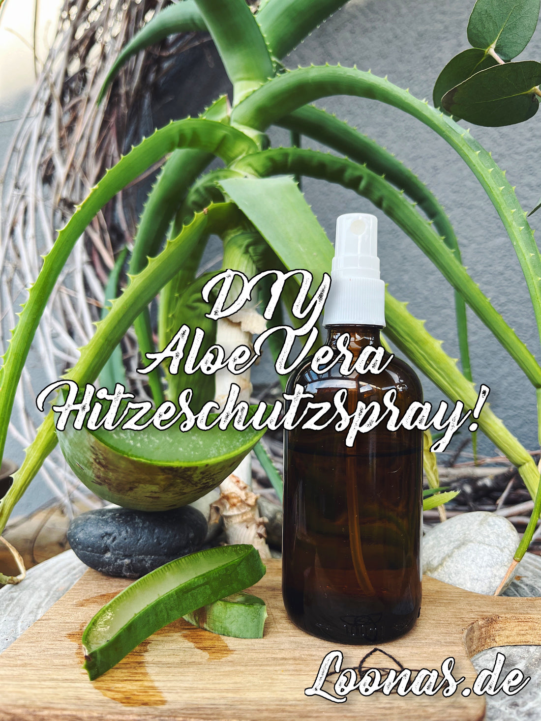 DIY Hitzeschutzspray mit pflegender Aloe Vera! 💚