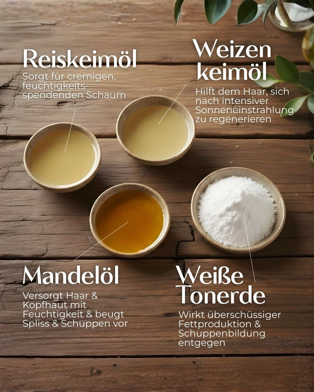 Mandelöl und Weizenkeimöl auf Holzuntergrund