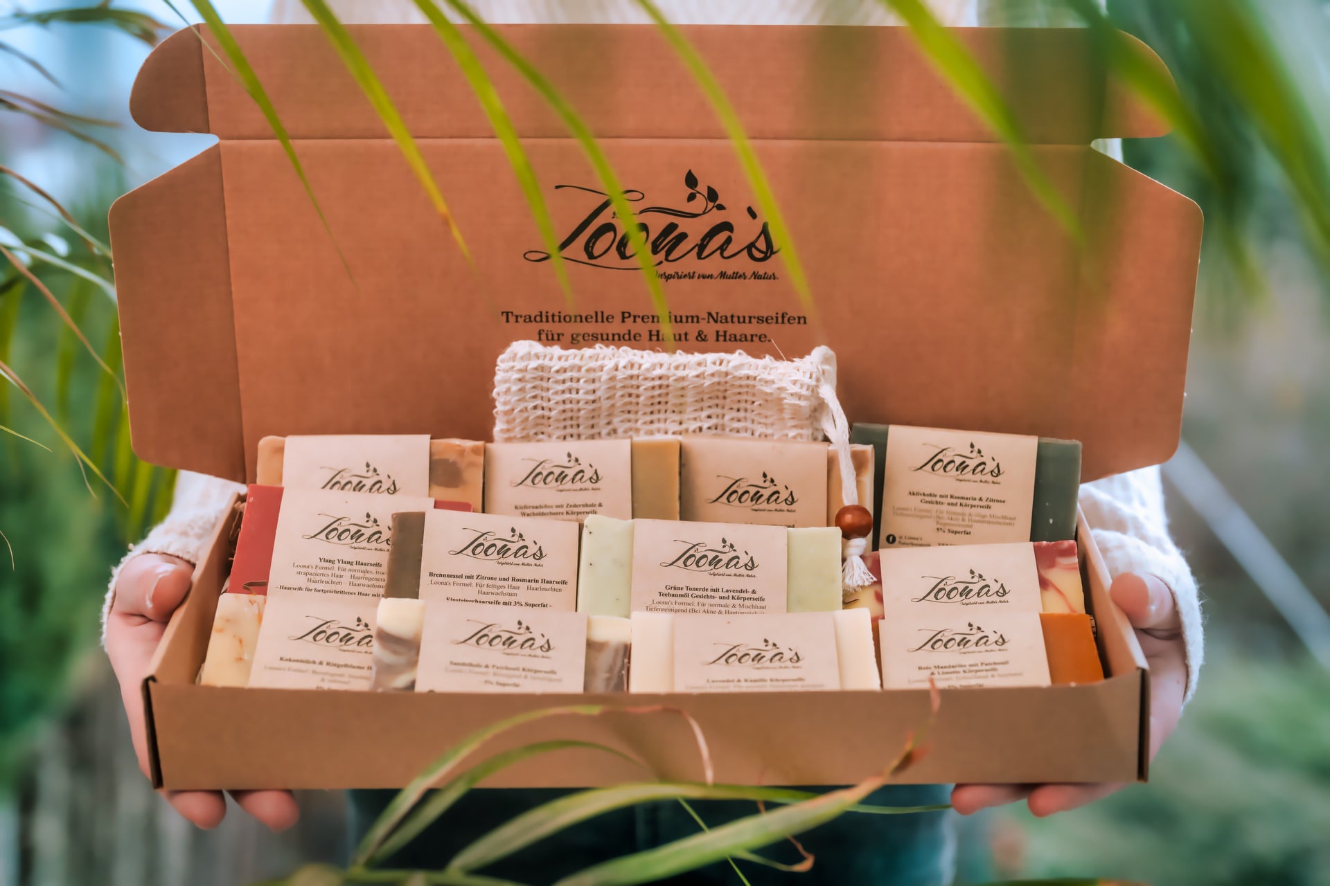 Carton Boxes packaging